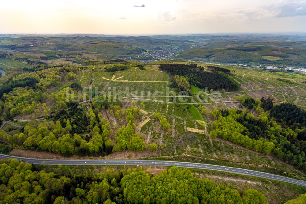 Burbach aus der Vogelperspektive: Forstgebiete in einem Waldgebiet Großer Stein in Burbach im Bundesland Nordrhein-Westfalen, Deutschland