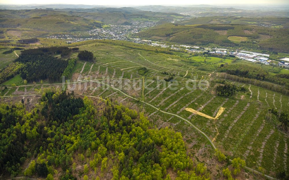 Luftaufnahme Burbach - Forstgebiete in einem Waldgebiet Großer Stein in Burbach im Bundesland Nordrhein-Westfalen, Deutschland