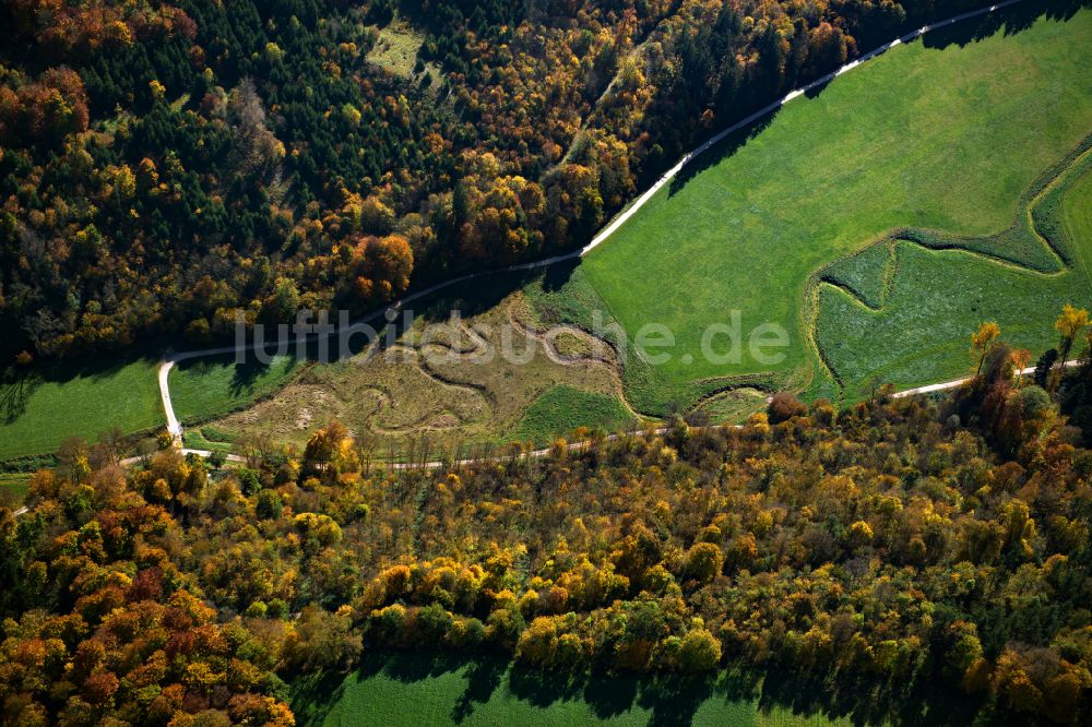 Luftaufnahme Herbrechtingen - Forstgebiete in einem Waldgebiet in Herbrechtingen im Bundesland Baden-Württemberg, Deutschland