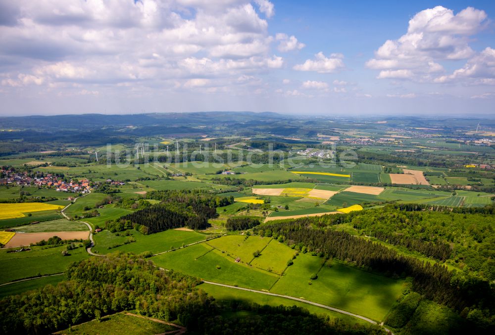 Luftaufnahme Nieheim - Forstgebiete in einem Waldgebiet Hinnenburger Forst in Nieheim im Bundesland Nordrhein-Westfalen, Deutschland