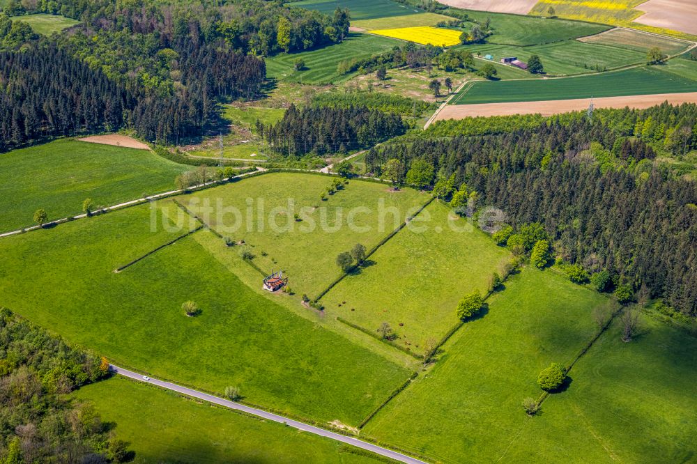 Nieheim von oben - Forstgebiete in einem Waldgebiet Hinnenburger Forst in Nieheim im Bundesland Nordrhein-Westfalen, Deutschland