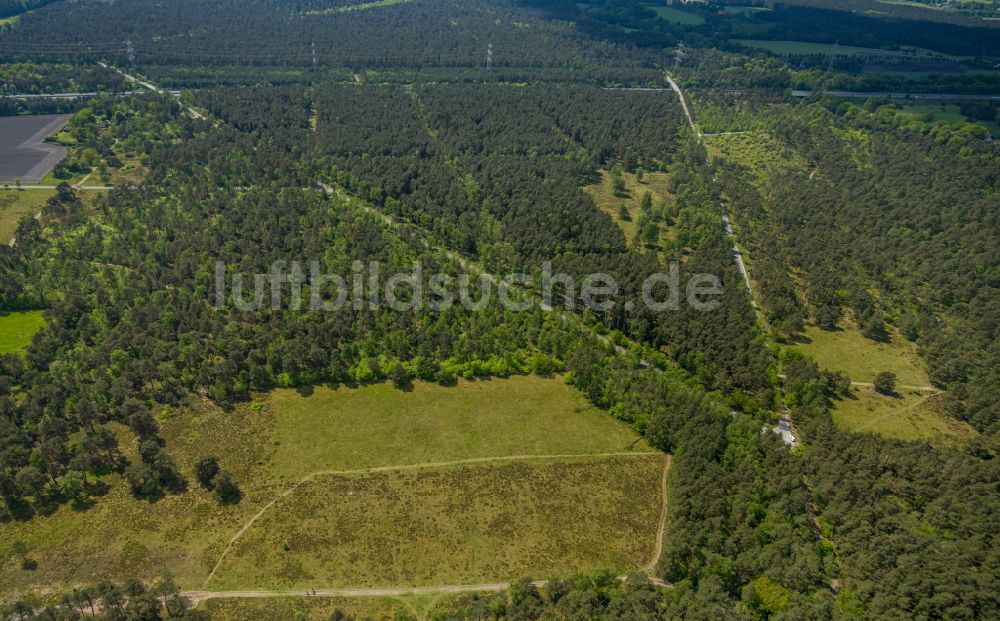 Hövelhof aus der Vogelperspektive: Forstgebiete in einem Waldgebiet in Hövelhof im Bundesland Nordrhein-Westfalen, Deutschland