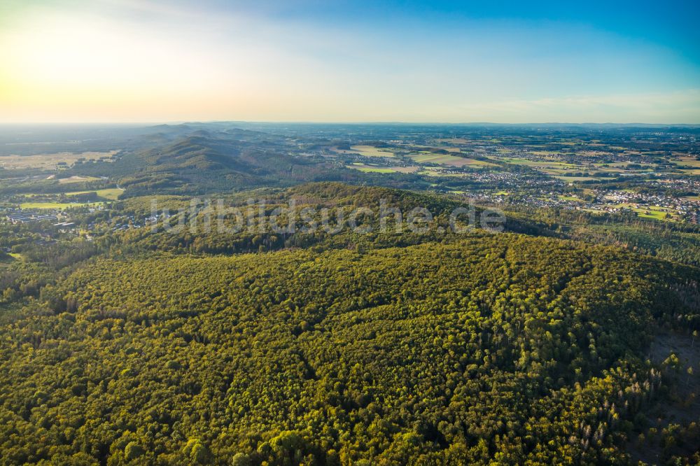 Luftaufnahme Lage - Forstgebiete in einem Waldgebiet in Lage im Bundesland Nordrhein-Westfalen, Deutschland