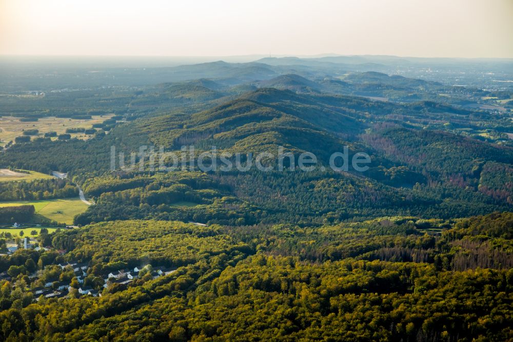 Lage von oben - Forstgebiete in einem Waldgebiet in Lage im Bundesland Nordrhein-Westfalen, Deutschland