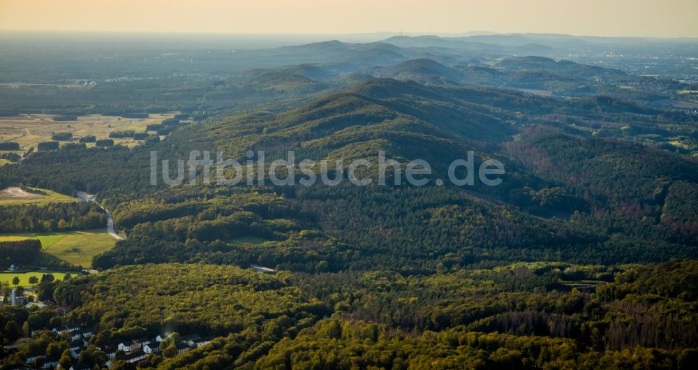 Lage aus der Vogelperspektive: Forstgebiete in einem Waldgebiet in Lage im Bundesland Nordrhein-Westfalen, Deutschland