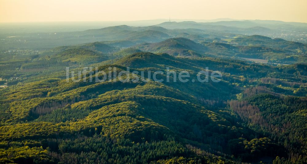 Luftbild Lage - Forstgebiete in einem Waldgebiet in Lage im Bundesland Nordrhein-Westfalen, Deutschland