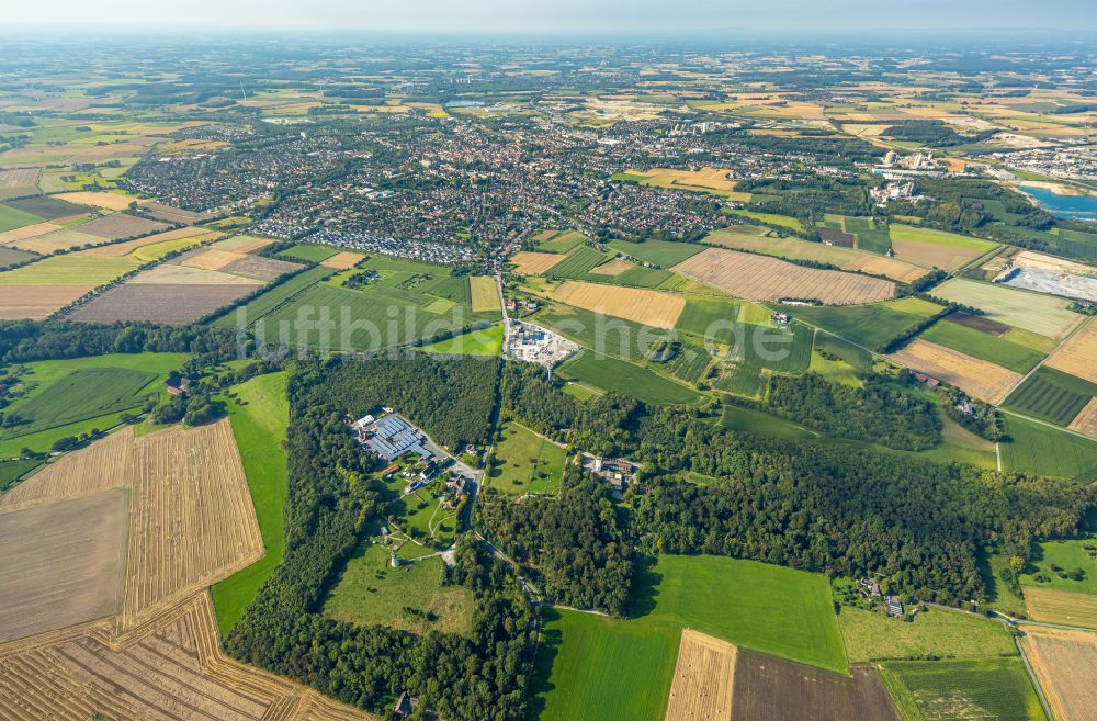 Luftaufnahme Beckum - Forstgebiete in einem Waldgebiet Naturerlebnispark Höxberg in Beckum im Bundesland Nordrhein-Westfalen, Deutschland