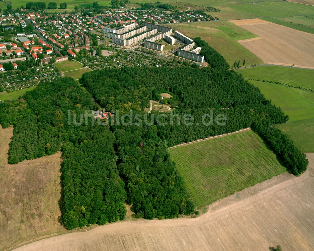 Großenhain aus der Vogelperspektive: Forstgebiete in einem Waldgebiet im Ortsteil Kupferberg in Großenhain im Bundesland Sachsen, Deutschland