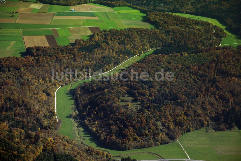 Rammingen von oben - Forstgebiete in einem Waldgebiet in Rammingen im Bundesland Baden-Württemberg, Deutschland