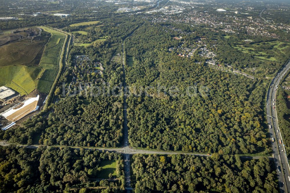 Resser Mark aus der Vogelperspektive: Forstgebiete in einem Waldgebiet in Resser Mark im Bundesland Nordrhein-Westfalen, Deutschland