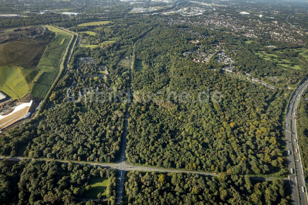 Resser Mark aus der Vogelperspektive: Forstgebiete in einem Waldgebiet in Resser Mark im Bundesland Nordrhein-Westfalen, Deutschland