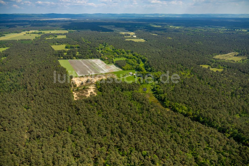 Schloß Holte-Stukenbrock von oben - Forstgebiete in einem Waldgebiet in Schloß Holte-Stukenbrock im Bundesland Nordrhein-Westfalen, Deutschland