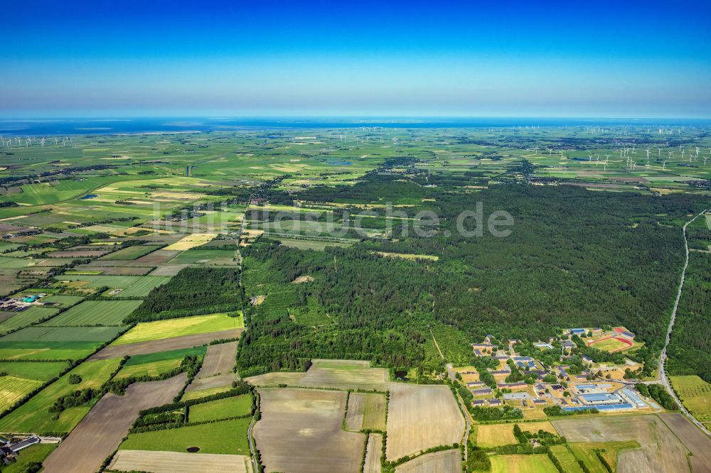 Luftaufnahme Stadum - Forstgebiete in einem Waldgebiet in Stadum im Bundesland Schleswig-Holstein, Deutschland