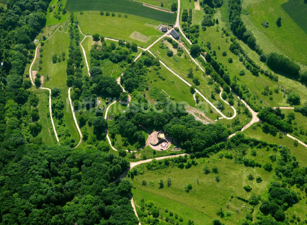 Steinbach am Donnersberg aus der Vogelperspektive: Forstgebiete in einem Waldgebiet in Steinbach am Donnersberg im Bundesland Rheinland-Pfalz, Deutschland