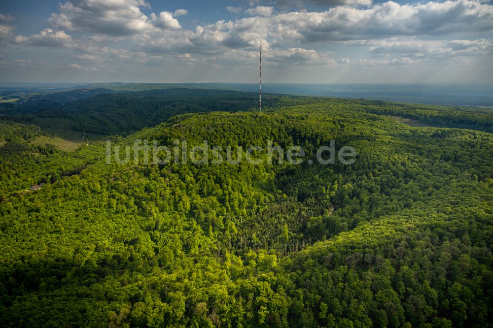Luftbild Detmold - Forstgebiete in einem Waldgebiet Teuteburger Wald in Detmold im Bundesland Nordrhein-Westfalen, Deutschland