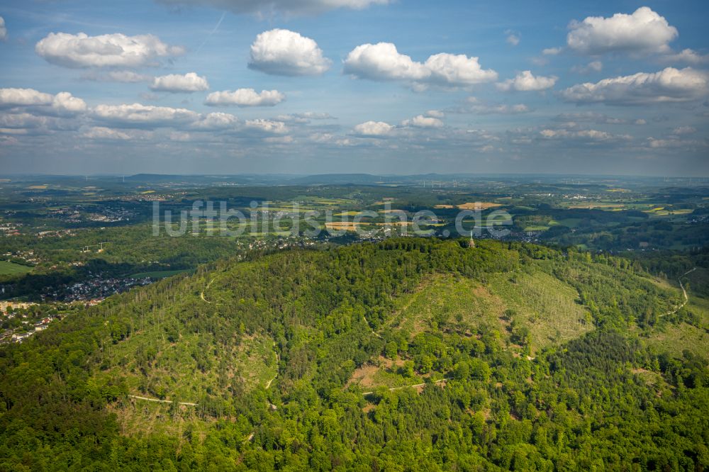 Luftaufnahme Detmold - Forstgebiete in einem Waldgebiet Teuteburger Wald in Detmold im Bundesland Nordrhein-Westfalen, Deutschland