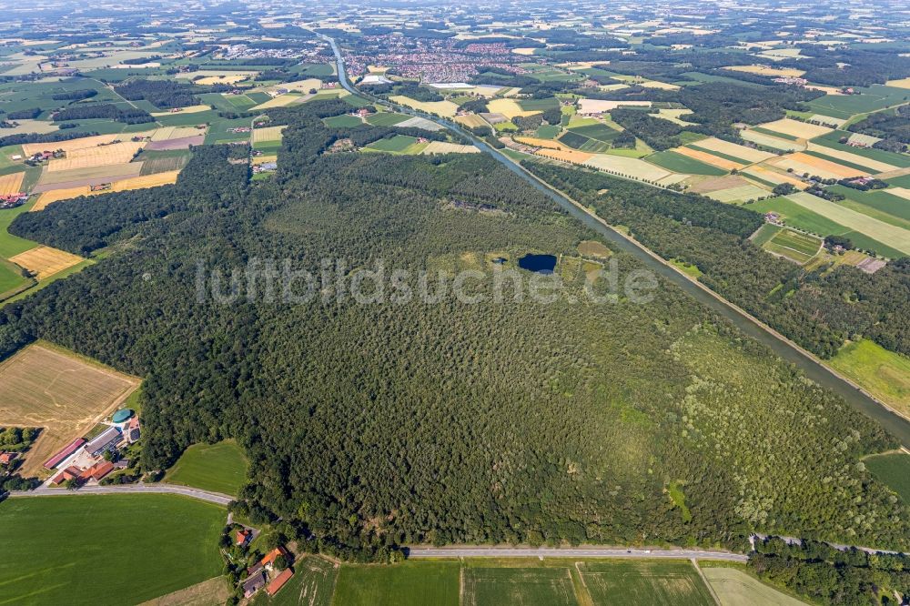 Luftaufnahme Senden - Forstgebiete in einem Waldgebiet Venner Moor in Senden im Bundesland Nordrhein-Westfalen, Deutschland