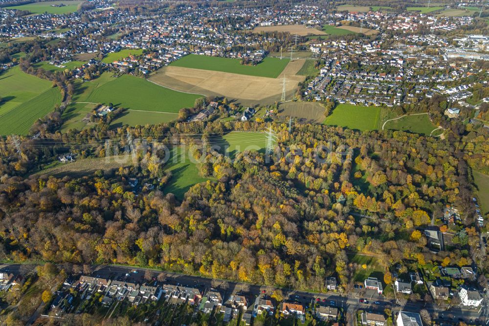 Luftbild Weitmar - Forstgebiete in einem Waldgebiet in Weitmar im Bundesland Nordrhein-Westfalen, Deutschland