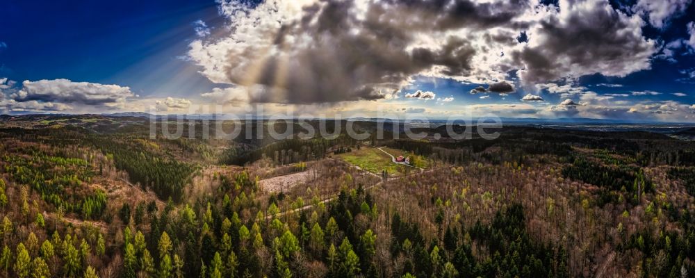 Luftbild Ettenheim - Forstgebiete in einem Waldgebiet im westlichen Schwarzwald in Ettenheim im Bundesland Baden-Württemberg, Deutschland