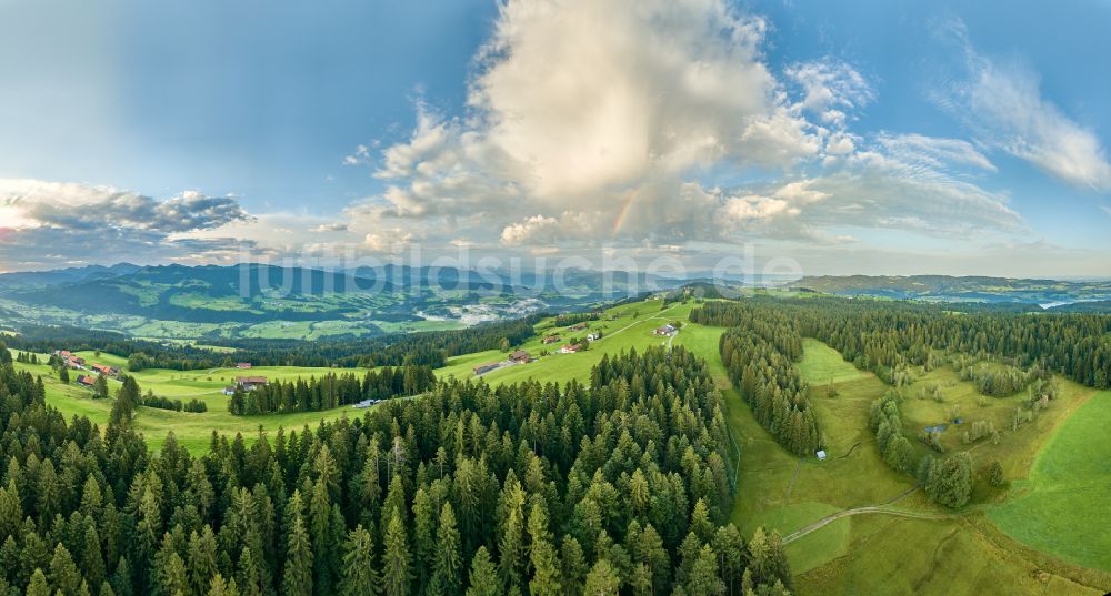 Sulzberg von oben - Forstgebiete in einem Waldgebiet mit Wiesenlandschaft in Sulzberg in Vorarlberg, Österreich