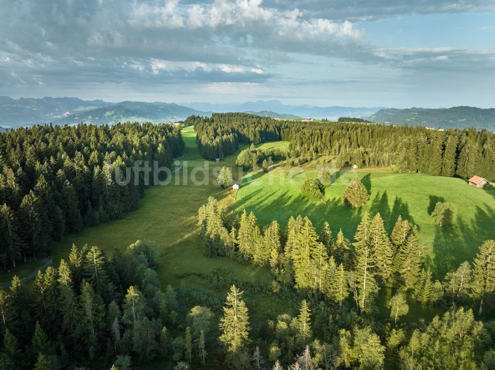 Sulzberg aus der Vogelperspektive: Forstgebiete in einem Waldgebiet mit Wiesenlandschaft in Sulzberg in Vorarlberg, Österreich