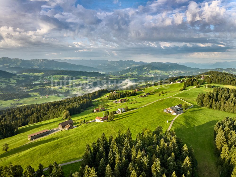 Sulzberg von oben - Forstgebiete in einem Waldgebiet mit Wiesenlandschaft in Sulzberg in Vorarlberg, Österreich