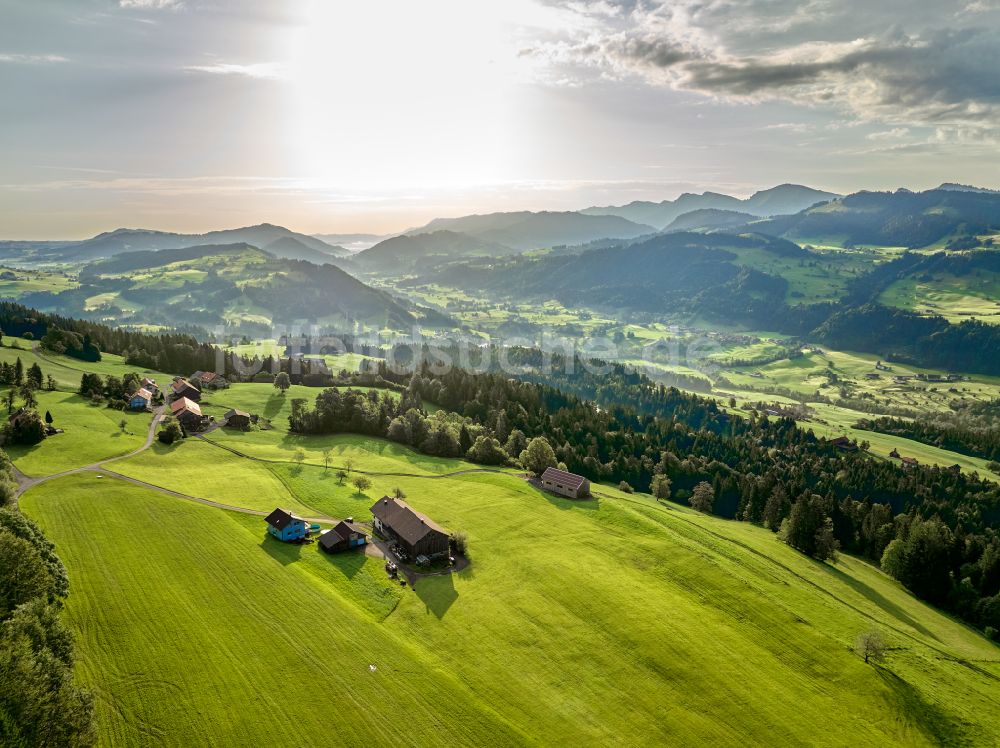 Sulzberg aus der Vogelperspektive: Forstgebiete in einem Waldgebiet mit Wiesenlandschaft in Sulzberg in Vorarlberg, Österreich