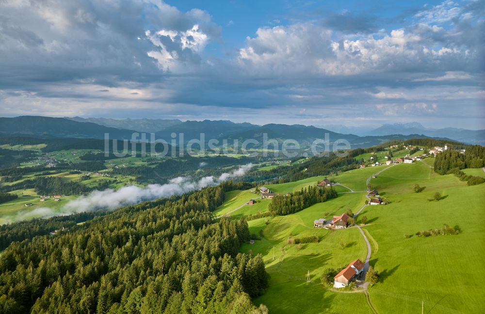 Sulzberg aus der Vogelperspektive: Forstgebiete in einem Waldgebiet mit Wiesenlandschaft in Sulzberg in Vorarlberg, Österreich