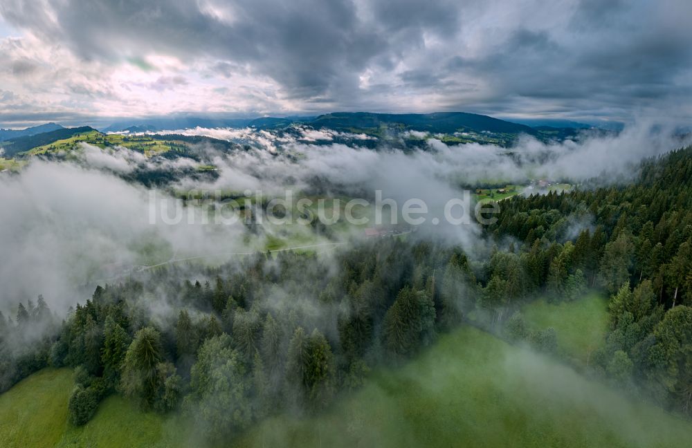 Luftbild Sulzberg - Forstgebiete in einem Waldgebiet mit Wiesenlandschaft in Sulzberg in Vorarlberg, Österreich