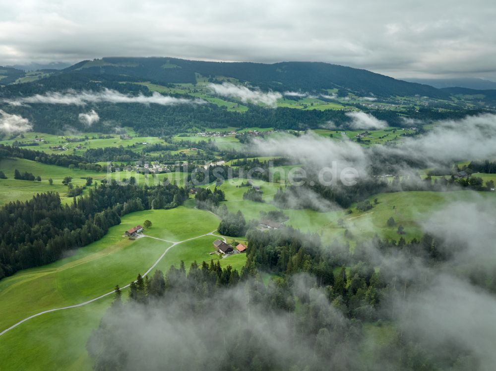 Sulzberg von oben - Forstgebiete in einem Waldgebiet mit Wiesenlandschaft in Sulzberg in Vorarlberg, Österreich