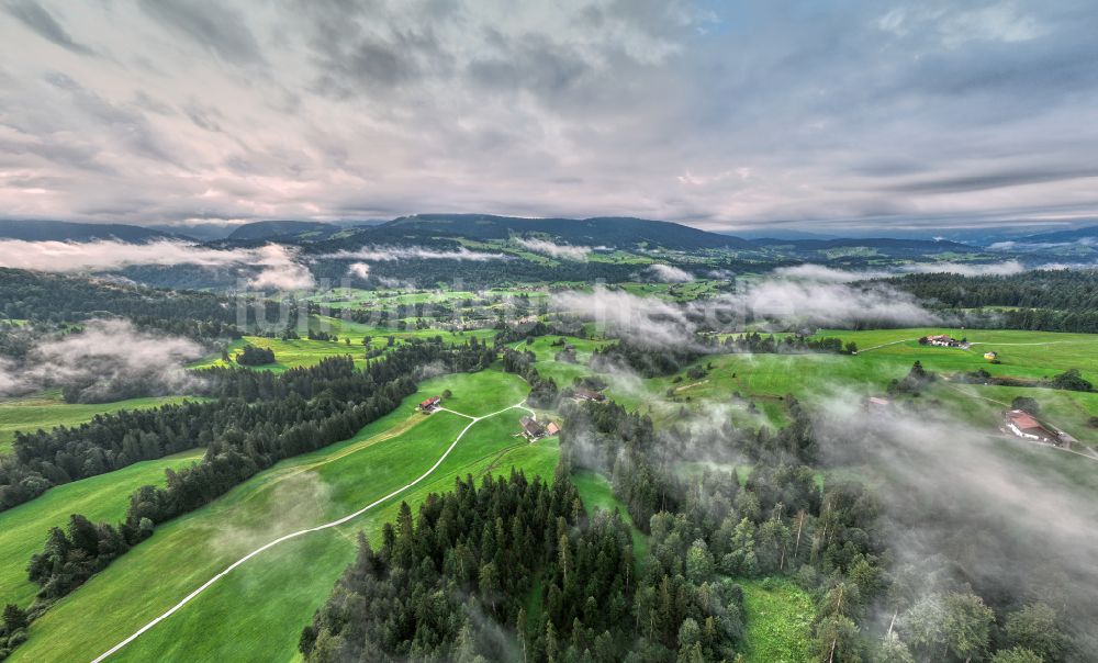 Sulzberg aus der Vogelperspektive: Forstgebiete in einem Waldgebiet mit Wiesenlandschaft in Sulzberg in Vorarlberg, Österreich