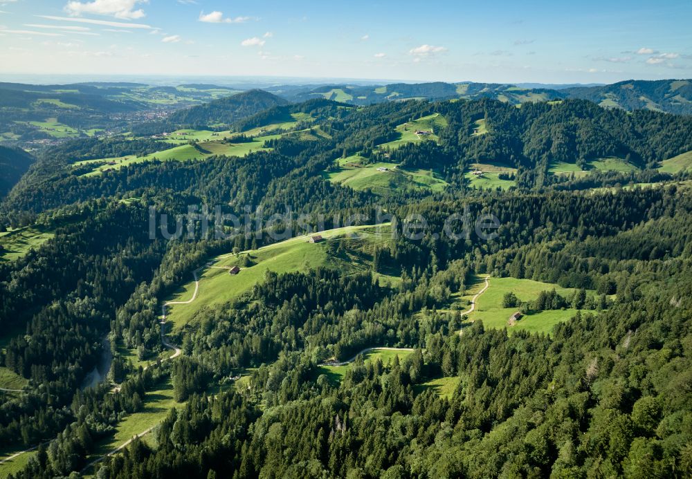 Sulzberg aus der Vogelperspektive: Forstgebiete in einem Waldgebiet mit Wiesenlandschaft in Sulzberg in Vorarlberg, Österreich