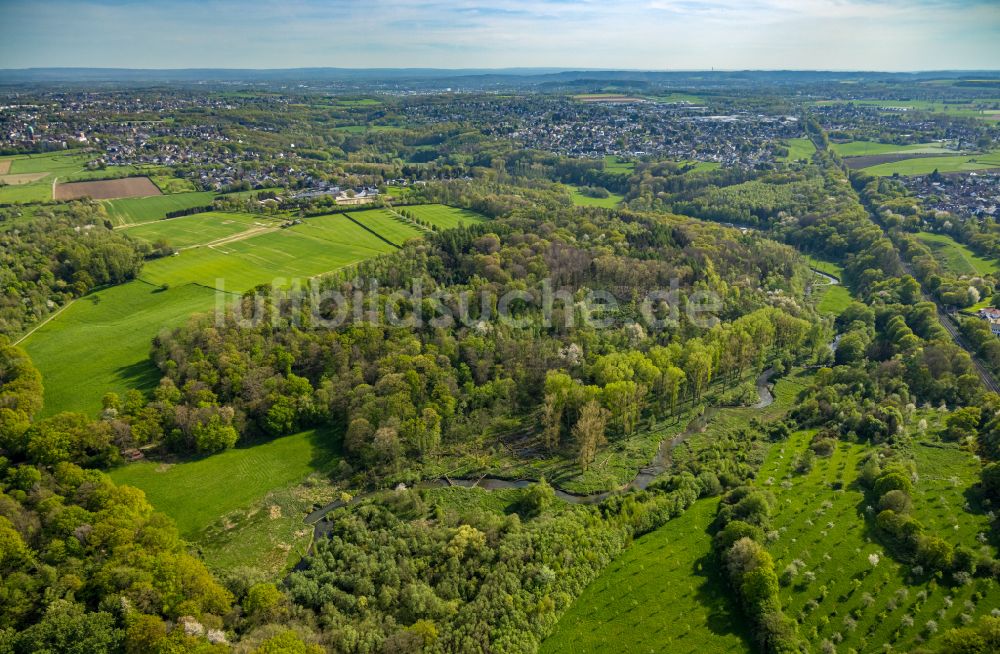 Luftbild Würselen - Forstgebiete in einem Waldgebiet Wurmtal in Würselen im Bundesland Nordrhein-Westfalen, Deutschland