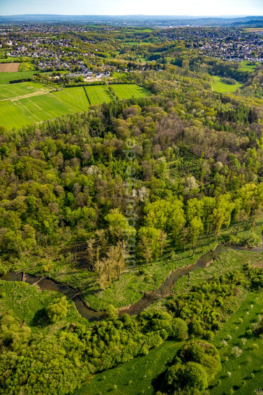 Luftbild Würselen - Forstgebiete in einem Waldgebiet Wurmtal in Würselen im Bundesland Nordrhein-Westfalen, Deutschland