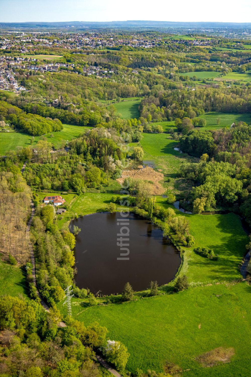 Luftaufnahme Würselen - Forstgebiete in einem Waldgebiet Wurmtal in Würselen im Bundesland Nordrhein-Westfalen, Deutschland