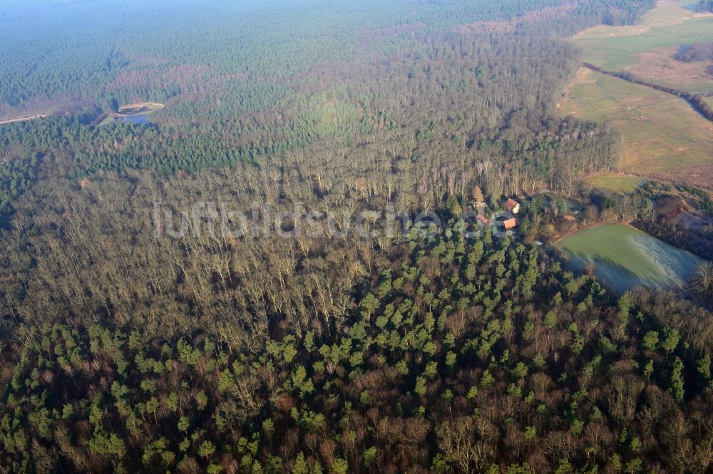 Friedrichswalde aus der Vogelperspektive: Forsthaus Fridrichswalde im Waldgebiet der Schorfheide am Wuckersee im Bundesland Brandenburg