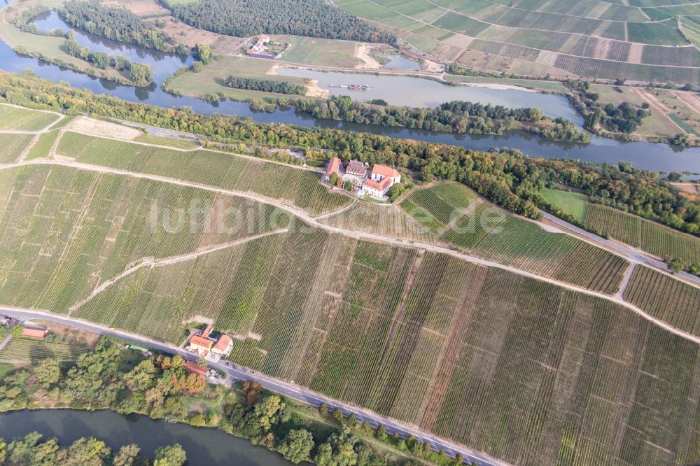 Volkach aus der Vogelperspektive: Freiluft- Gaststätte Gasthaus Mainaussicht Gifthütte im Ortsteil Escherndorf in Volkach im Bundesland Bayern, Deutschland