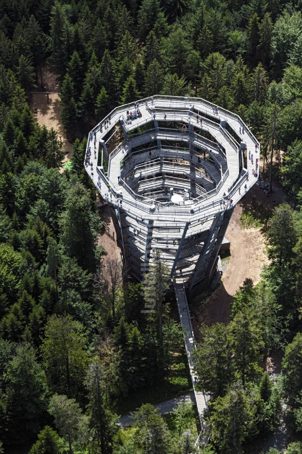 Bad Wildbad von oben - Freizeitzentrum Baumwipfelpfad Schwarzwald in Bad Wildbad im Bundesland Baden-Württemberg, Deutschland