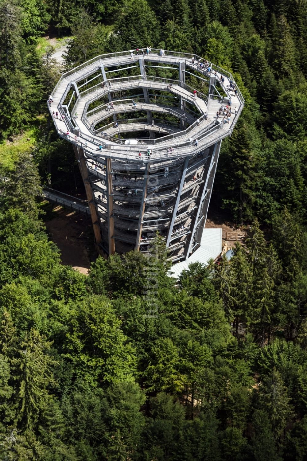 Bad Wildbad aus der Vogelperspektive: Freizeitzentrum Baumwipfelpfad Schwarzwald in Bad Wildbad im Bundesland Baden-Württemberg, Deutschland