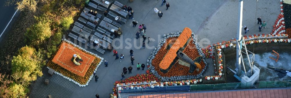 Klaistow von oben - Freizeitzentrum Spargel- und Erlebnishof Klaistow im Bundesland Brandenburg