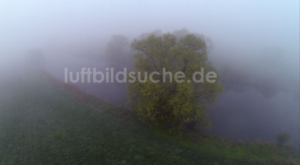 Olfen aus der Vogelperspektive: Früh- Nebel- Landschaft der Wiesen und Felder an den Lippemäander, Lippeschleife der Lippeauen an der Lippe bei Olfen im Bundesland Nordrhein-Westfalen NRW