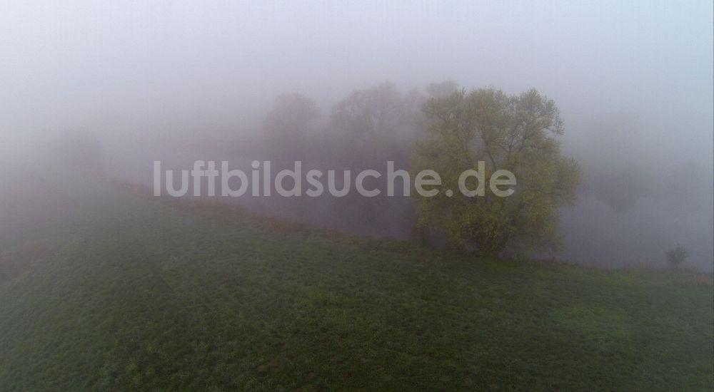 Luftbild Olfen - Früh- Nebel- Landschaft der Wiesen und Felder an den Lippemäander, Lippeschleife der Lippeauen an der Lippe bei Olfen im Bundesland Nordrhein-Westfalen NRW