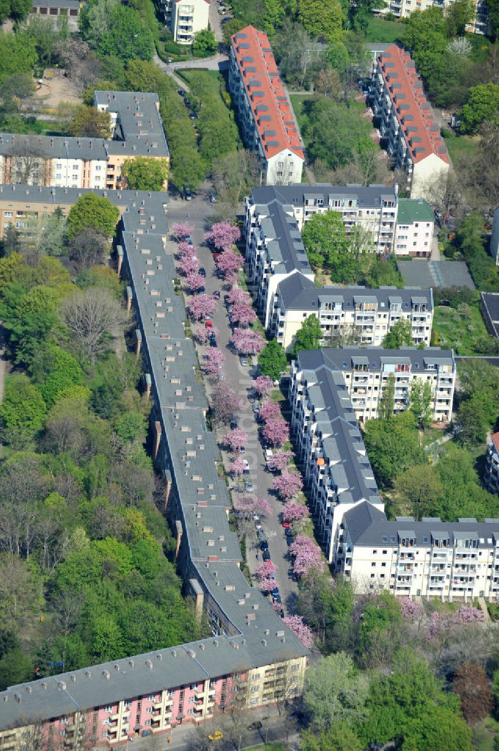 Berlin-Lichtenberg aus der Vogelperspektive: Frühjahrsblüten- Baumallee in Berlin-Lichtenberg