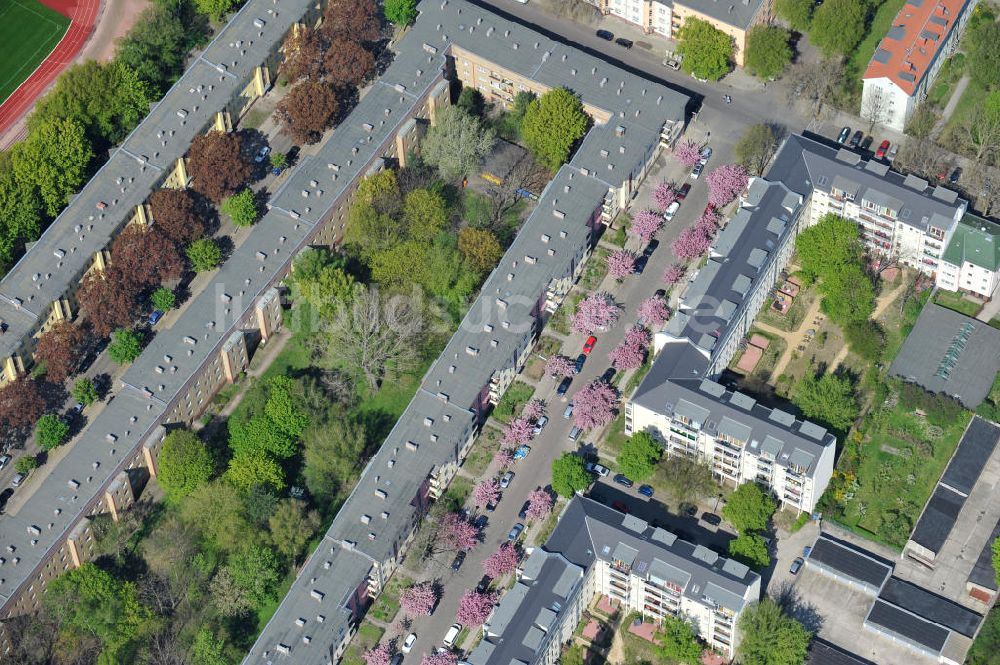 Luftbild Berlin-Lichtenberg - Frühjahrsblüten- Baumallee in Berlin-Lichtenberg