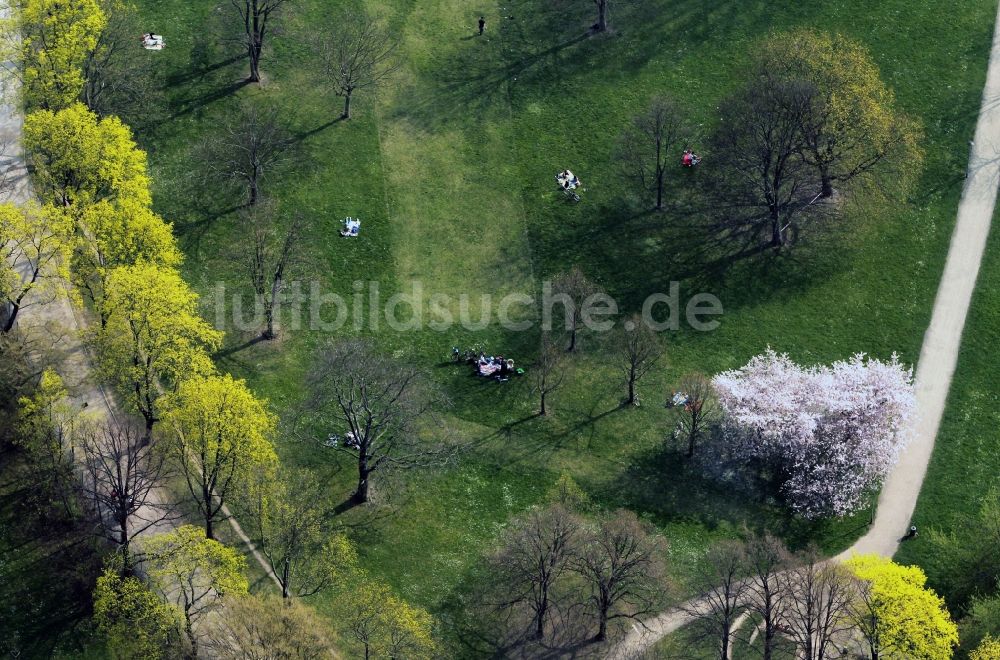 Döllstedt aus der Vogelperspektive: Frühjahrslandschaft blühender Obstbäume bei Döllstedt in Thüringen