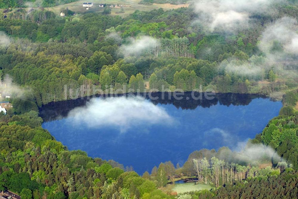 Sandkrug aus der Vogelperspektive: Frühnebellandschaft am Großen Heiligen See im Wald bei Sandrug