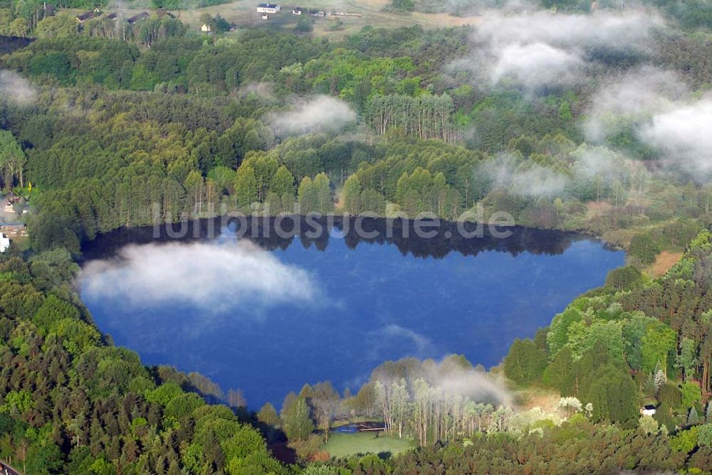 Luftbild Sandkrug - Frühnebellandschaft am Großen Heiligen See im Wald bei Sandrug