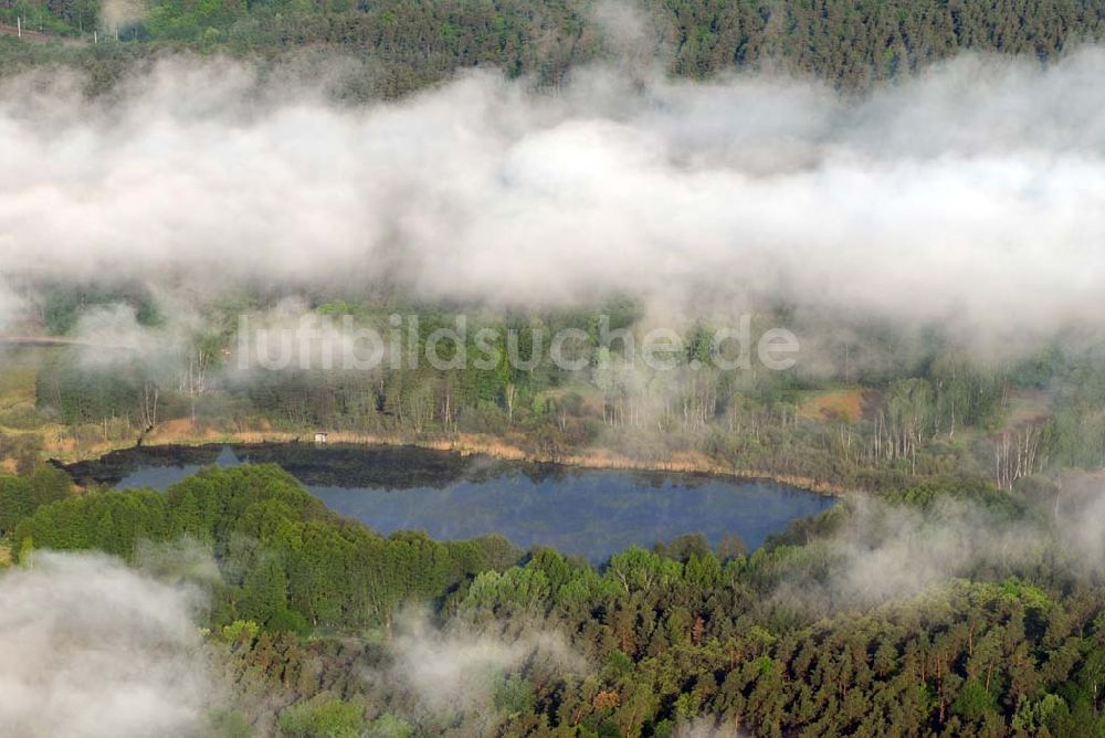 Luftaufnahme Sandkrug - Frühnebellandschaft am Großen Heiligen See im Wald bei Sandrug