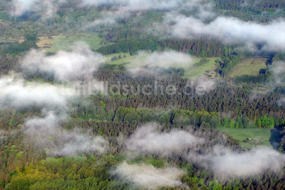 Luftbild Sandkrug - Frühnebellandschaft am Großen Heiligen See im Wald bei Sandrug