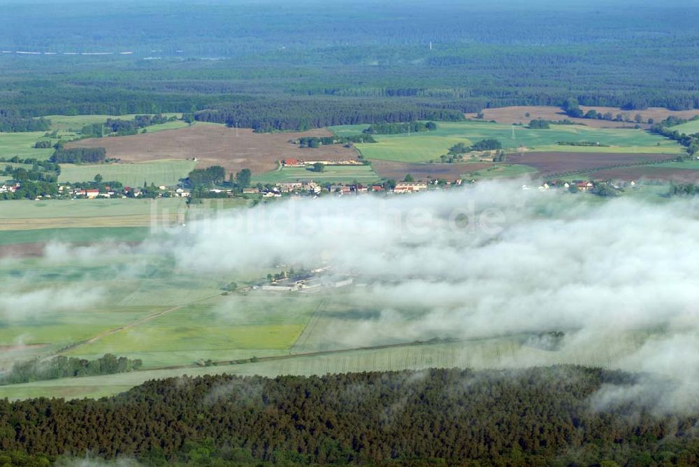 Sandkrug von oben - Frühnebellandschaft am Großen Heiligen See im Wald bei Sandrug